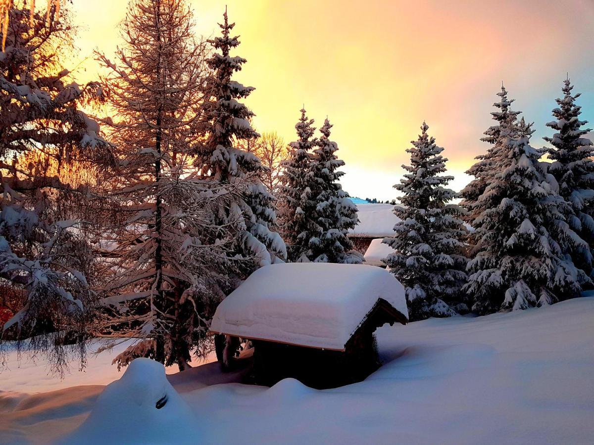 Appartement Cosy Aux Saisies N1 雷塞兹 外观 照片